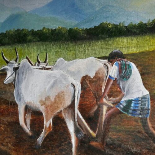 Ploughing