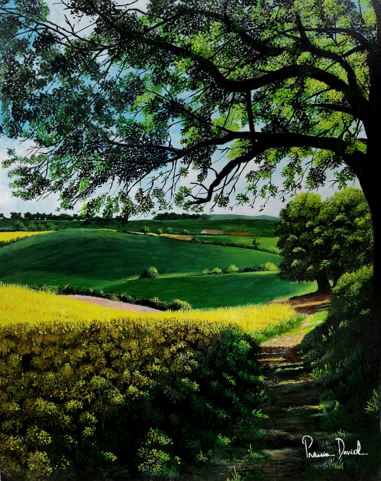 Landscape