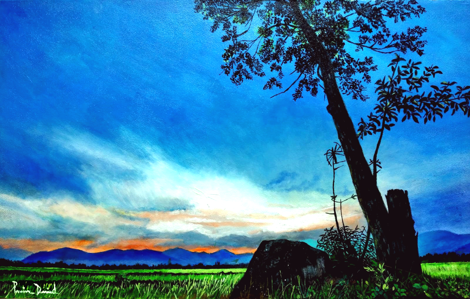Nature