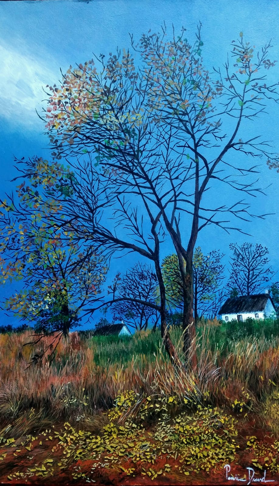 Landscape